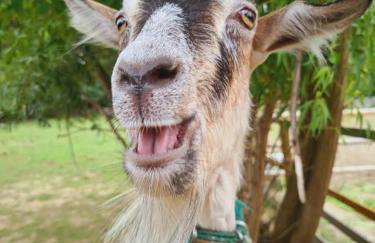 Ranczo Popowice - Foto 30