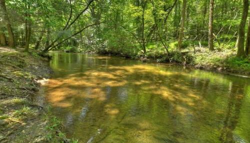 Sweet Serenity Creek - Foto 2