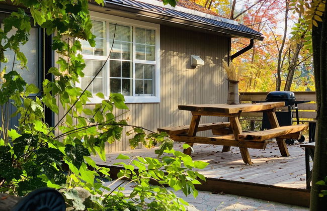 Barefoot Villas Cabin 1 Beaver w/ Hot tub - Photo 43