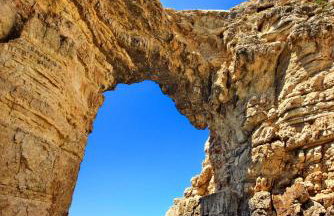 Aurora nest - Foto 23