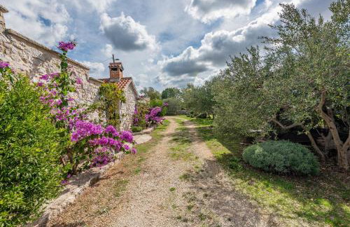 Villa Torine Zadarvillas - Foto 34