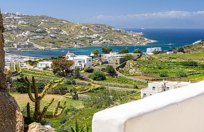 9 Muses Villas Mykonos - Photo 44
