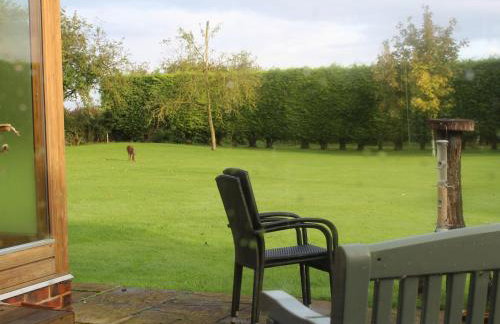 Swallow's Nest - Photo 31