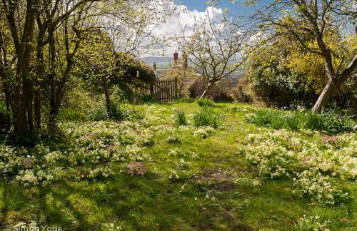 Moonfleat - Photo 12