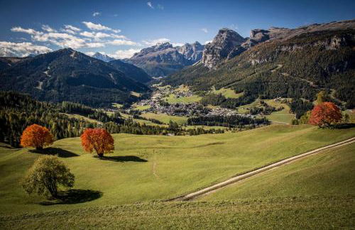 Ciasa Rosra - Foto 9