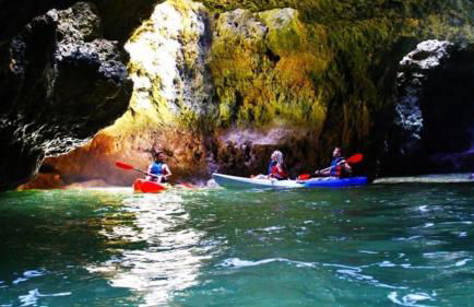 Oásis Tropical, Jardim e Piscina! - Foto 28