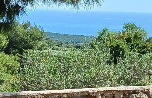 Apartmani Green Oasis - Foto 33