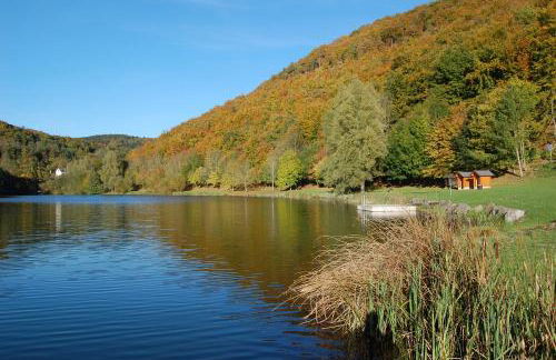 Holunder nah am Waldsee 1 - Foto 17