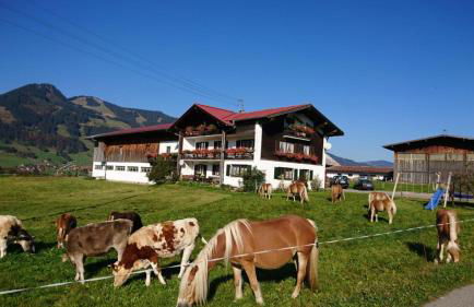 Haflinger Hof - Photo 1