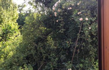 FeWo Spitzweg, Garlstorf - Lüneburger Heide - Foto 48
