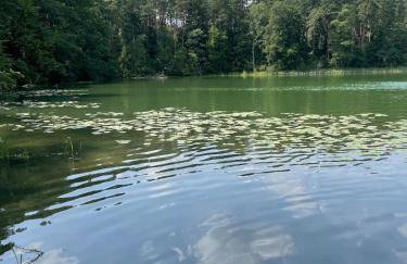 Dobrostan Domek w Naturze - Foto 15