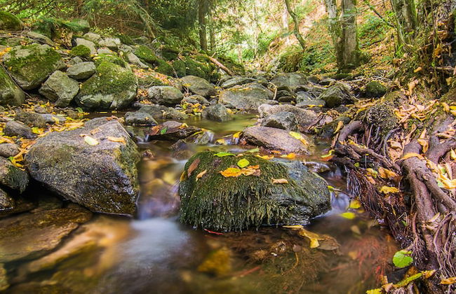 Linz Apartment Comfort-Size - Foto 19