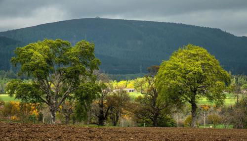 Foulis Castle Gate Lodge - Photo 2