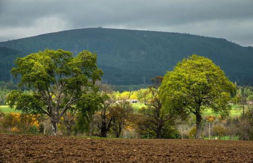 Foulis Castle Gate Lodge - Foto 2