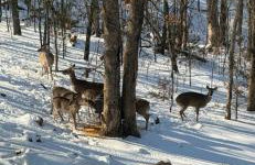 Hidden Sanctuary - Foto 39