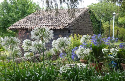 Villa Iolanda-Sive Natura Wine&House - Foto 14