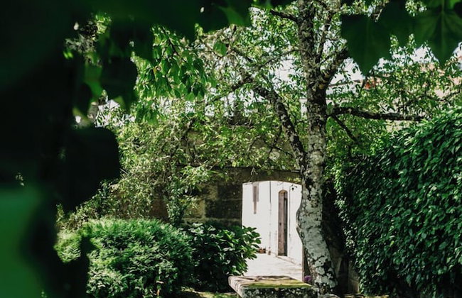 Pazo Almuzara - Foto 55