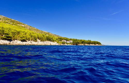 Apartments Petrovac - Foto 32