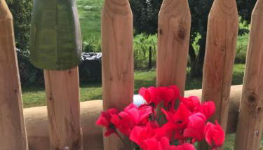 Ferienwohnung „Frosch“ - Foto 3, Garden view