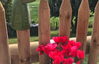 Ferienwohnung „Frosch“ - Foto 3