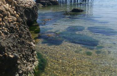 Casa la noce - Foto 14