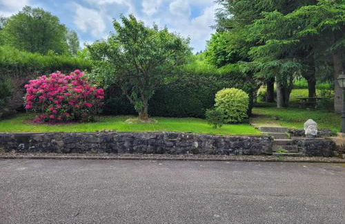 Gîte Forêt Vosgienne gitesdes2vallées - Foto 25