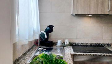 Apartamento en el Serrallo de Tarragona - Foto 5