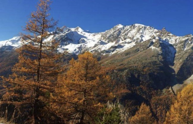 Bergfreude - Foto 76