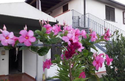 Appartamento panoramico - Foto 12