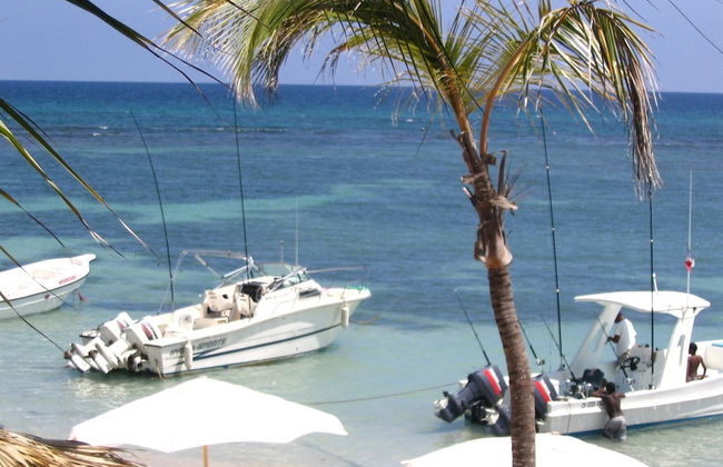 Plaza Real Resort - Foto 33