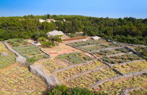 Holiday house with a parking space Humac, Hvar - 8805 - Photo 1