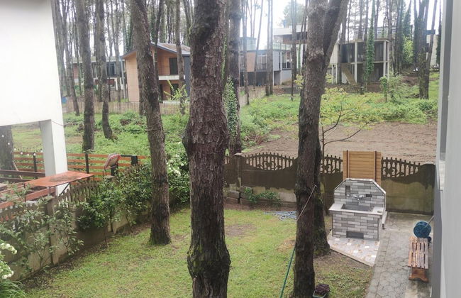 House by the sea Kaprovani Shekvetili Batumi - Photo 28