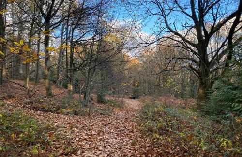 Willow Cottage - Foto 32