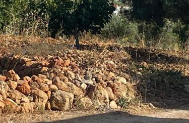 The Retreat - Ria Formosa Hamlet - Photo 29