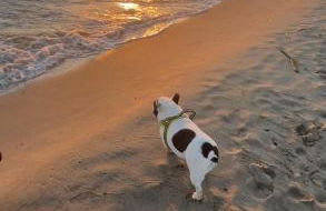 Appartamento a 20 metri dal mare. - Foto 22