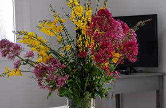 Maison de la Porte des Loups dans le Ventoux - Foto 28