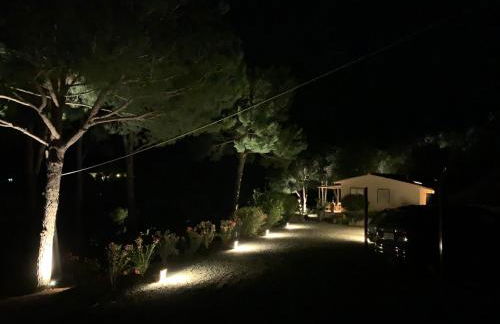 La Mandorla Salata - Foto 15