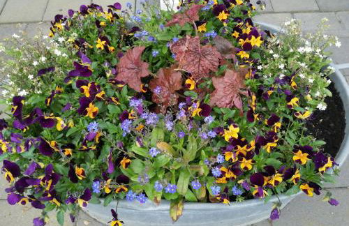 Ferienwohnung Blumenparadies - Foto 19