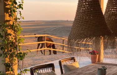 Monte da Aparica - Foto 50