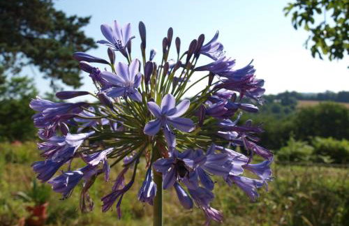 Le Hibou - La Cipière Gîtes - Foto 9