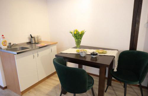 Apartamenty pod Kicarzem - Foto 48