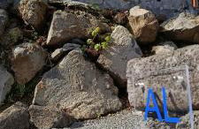 Recanto Terra Alta - Photo 76