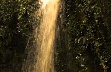 Cabanas dos Sonhos na Serra SC - Foto 28