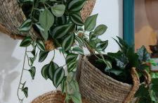 Casa Tío Luis - Foto 10