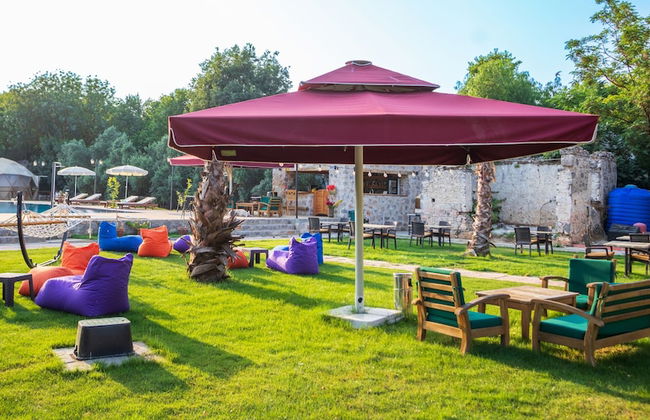 Lumos Homes - Photo 23