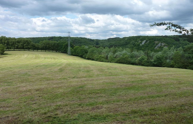 Cozy Escape in Bohon - Photo 30