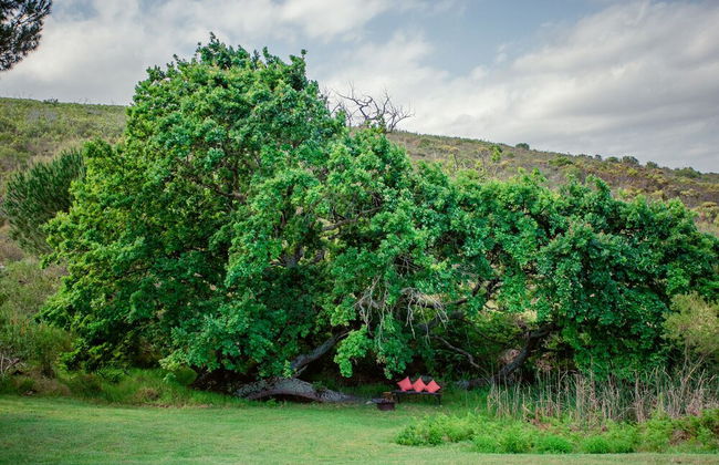 Country Cottage in the Overberg - Foto 16