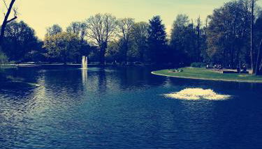 Ferien - und Messewohnung am Stadtpark - Foto 4