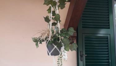 Simon's Home - Photo 4