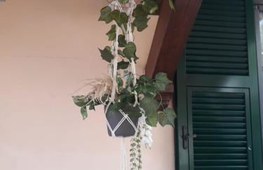 Simon's Home - Photo 4